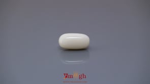 White Coral - 4.08 Carat