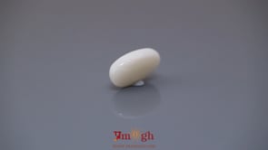 White Coral - 4.8 Carat