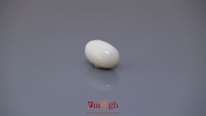 White Coral - 4.36 Carat