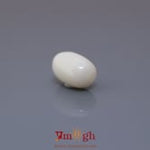 White Coral - 4.36 Carat