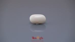 White Coral - 3.94 Carat