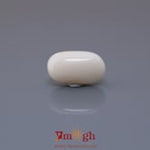 White Coral - 3.94 Carat