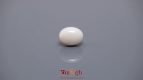 White Coral - 4.39 Carat