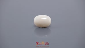 White Coral - 5.54 Carat