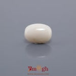 White Coral - 5.54 Carat