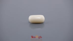 White Coral - 5.4 Carat