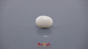 White Coral - 4.28 Carat