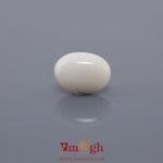 White Coral - 4.28 Carat