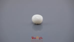 White Coral - 4.2 Carat