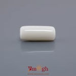 White Coral - 8.17 Carat