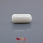 White Coral - 8.77 Carat