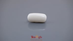 White Coral - 9.03 Carat