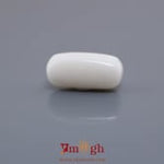 White Coral - 9.03 Carat