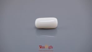 White Coral - 7.54 Carat