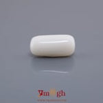 White Coral - 7.54 Carat