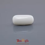White Coral - 8.51 Carat