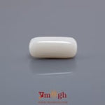White Coral - 6.99 Carat