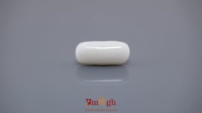 White Coral - 7.29 Carat