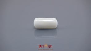 White Coral - 8.46 Carat