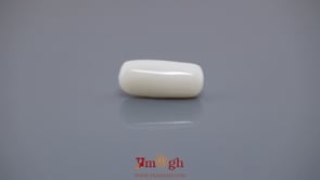 White Coral - 6.5 Carat
