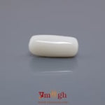 White Coral - 6.5 Carat
