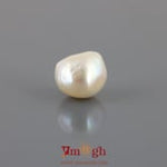 Keshi Pearl - 11.39 Carat