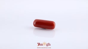 Red Coral - 9.74 Carat