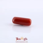 Red Coral - 9.74 Carat