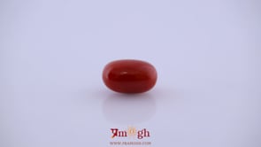 Red Coral - 5.2 Carat