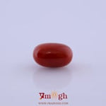 Red Coral - 5.2 Carat