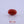 Load and play video in Gallery viewer, Red Coral - 5.05 Carat
