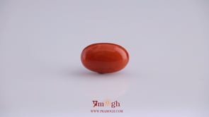 Red Coral - 4.88 Carat