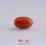 Red Coral - 4.88 Carat