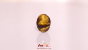 Tiger Eye - 10.55 Carat