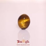 Tiger Eye - 8.82 Carat