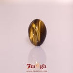 Tiger Eye - 9.6 Carat