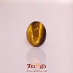 Tiger Eye - 8.65 Carat