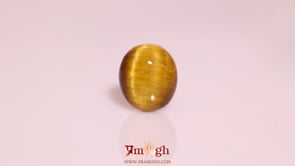 Tiger Eye - 8.75 Carat