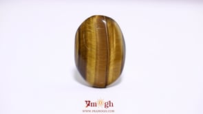 Tiger Eye - 28.7 Carat