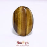 Tiger Eye - 28.7 Carat