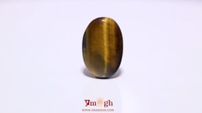 Tiger Eye - 20.65 Carat
