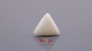 White Coral - 7.65 Carat