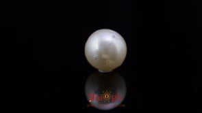 Pearl - 9 Carat