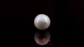 Pearl - 9.05 Carat