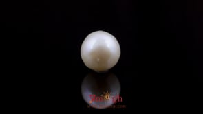 Pearl - 9.85 Carat