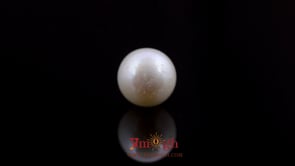 Pearl - 9.75 Carat