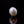 Load and play video in Gallery viewer, Pearl - 4.48 Carat
