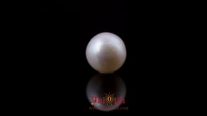 Pearl - 4.66 Carat
