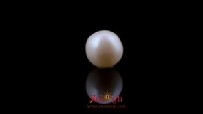 Pearl - 4.8 Carat