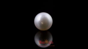 Pearl - 8.25 Carat